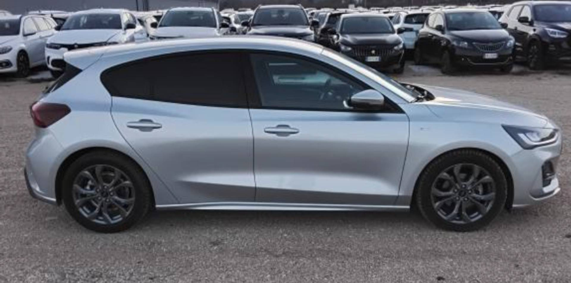 FORD FOCUS ST-Line X 1.5 EcoBlue 115 CV Powershift 