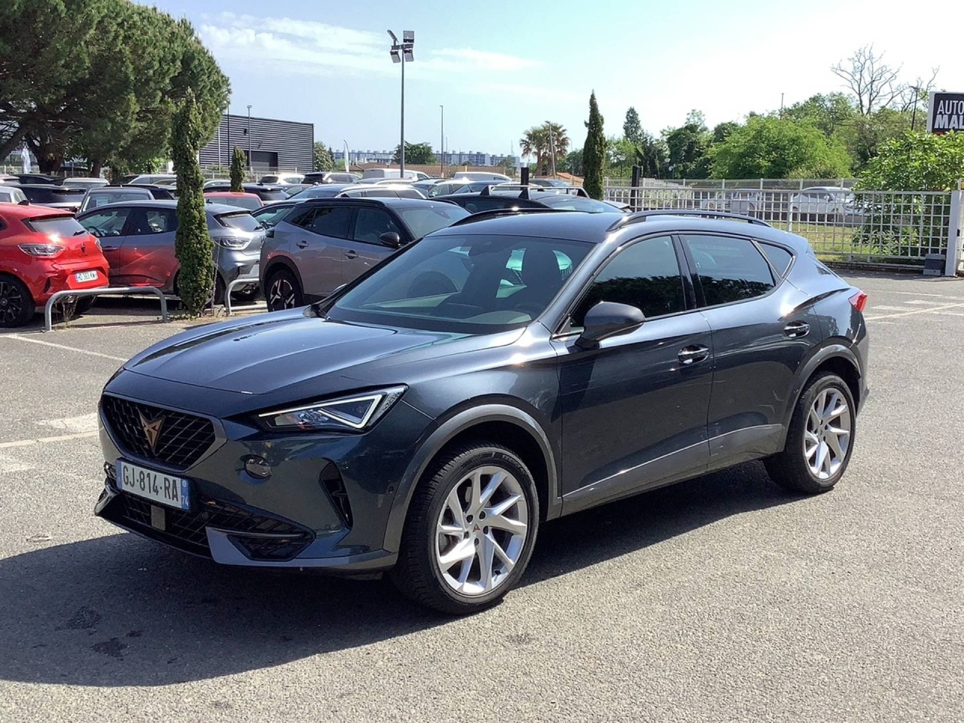 CUPRA FORMENTOR BUSINESS EDITION 2.0 TDI 150 CV BVM6